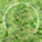 emtpy-profile-pic