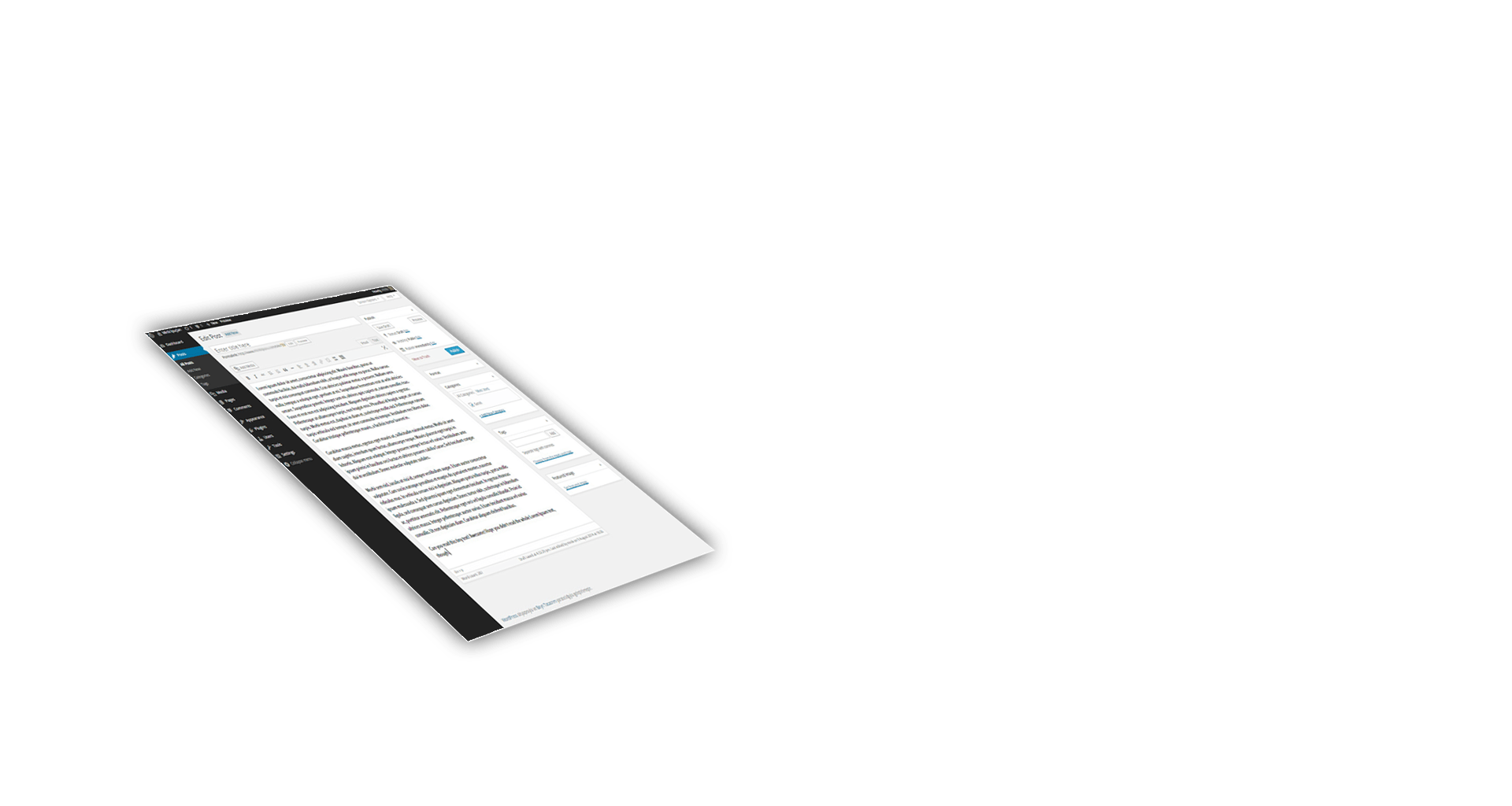 parallax layer