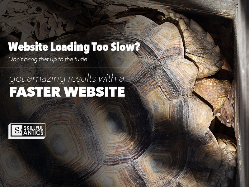 turtle ad