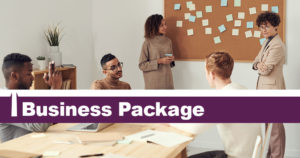 business-package-for-web-design