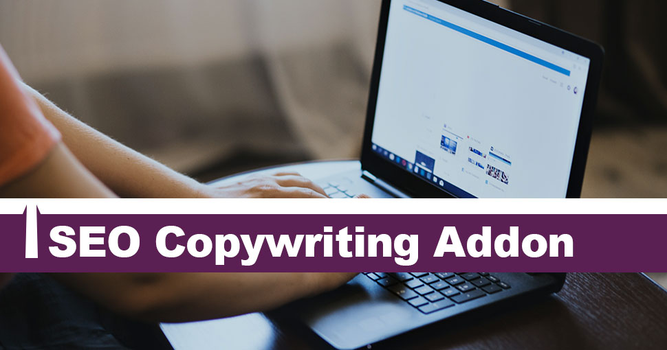 SEO-Copywriting-Addon