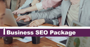 business-seo-package