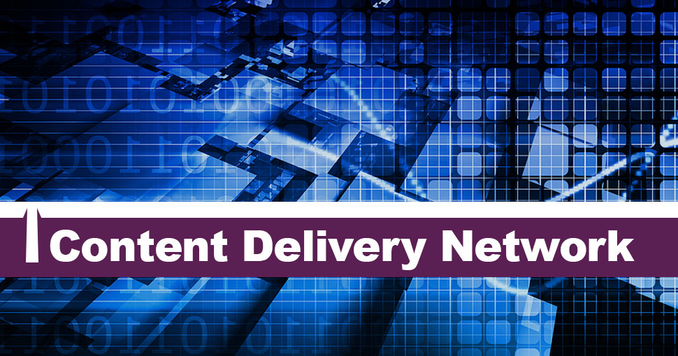 content-delivery-network-risewp